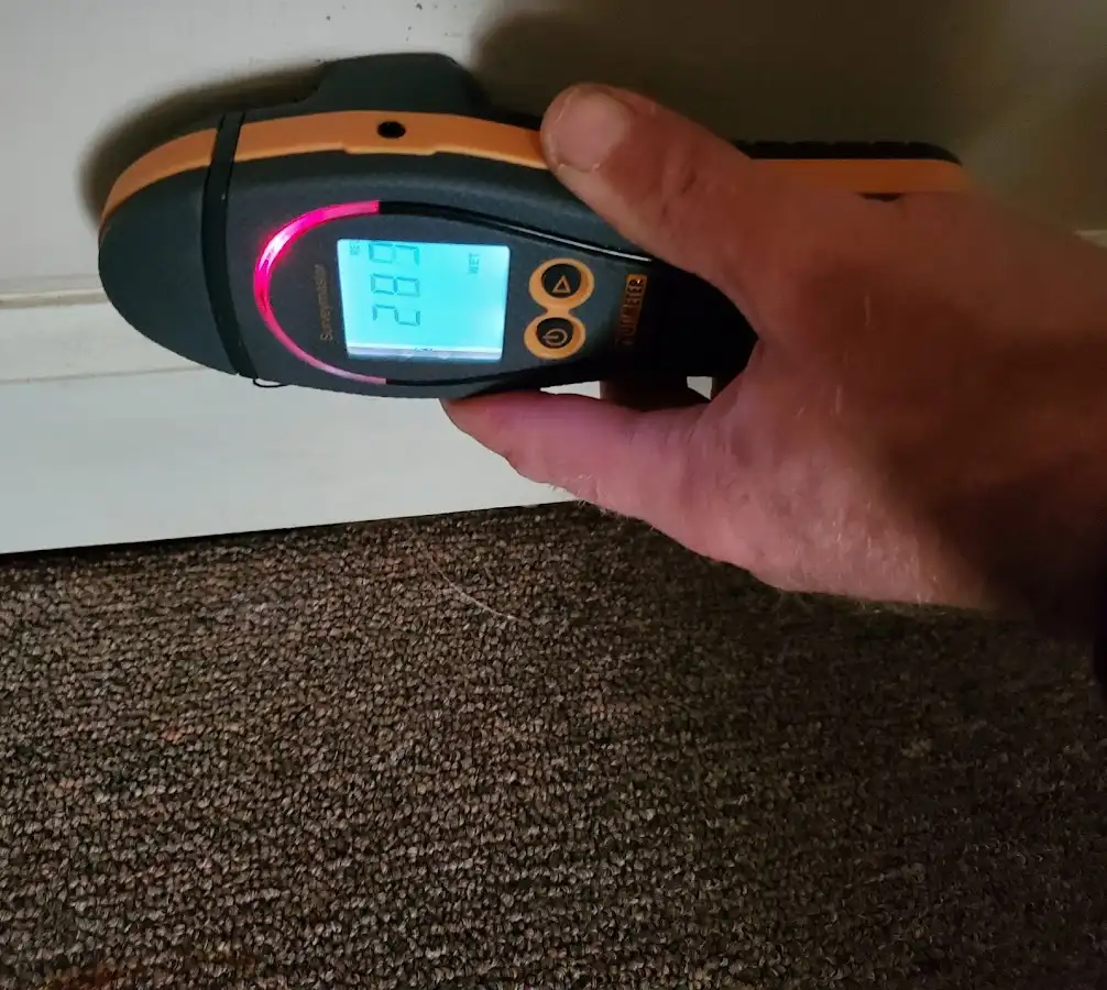 Moisture detection at baseboard during Sewage Cleanup & Sanitation in Paris